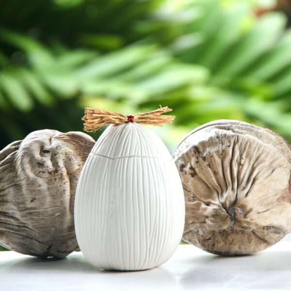 Bougie Noix de coco – Image 2