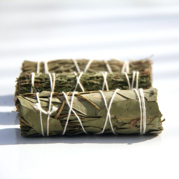 Eucalyptus – Image 2