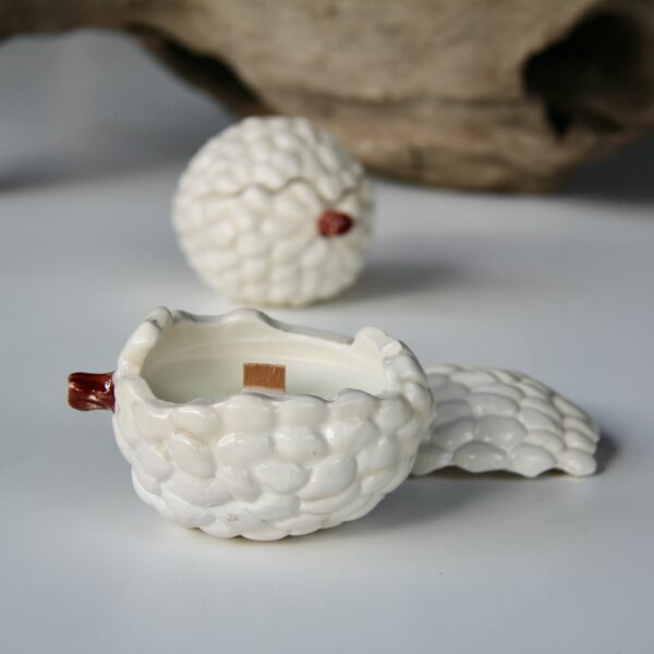 Bougie Pomme cannelle – Image 2