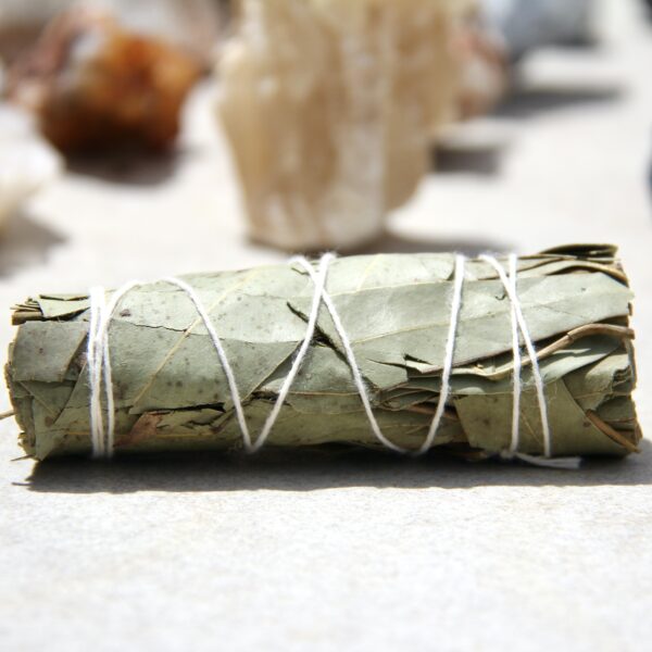 Eucalyptus – Image 3